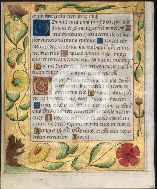 Leaf from a Psalter and Prayerbook: Ornamental Border with Flowers and Squirrel (verso), c. 1524. Creator: Unknown.