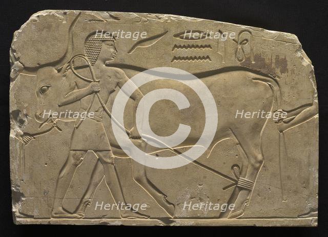 Men Trussing an Ox, 667-647 BC. Creator: Unknown.