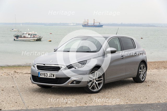 2014 Peugeot 308 THP 156 Feline Artist: Unknown.