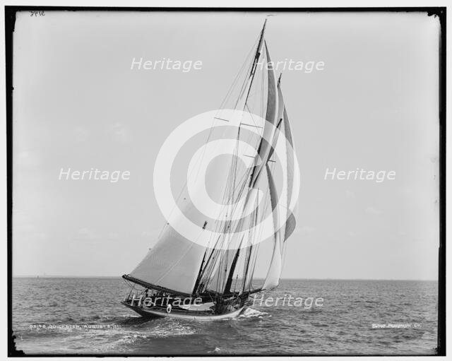 Quickstep, 1891 Aug 8. Creator: Unknown.