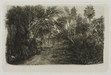 The Creek, 1880. Creator: Rodolphe Bresdin.