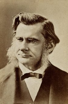 Thomas Henry Huxley, late 19th century.  Creator: London Stereoscopic & Photographic Co.