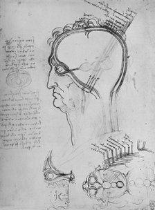 'Sections of a Man's Head Showing the Anatomy of the Eye, Etc.', c1480 (1945). Artist: Leonardo da Vinci.