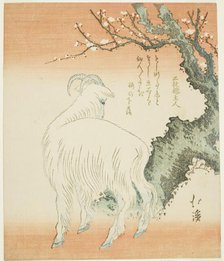 Goat beneath a plum tree, n.d. Creator: Totoya Hokkei.