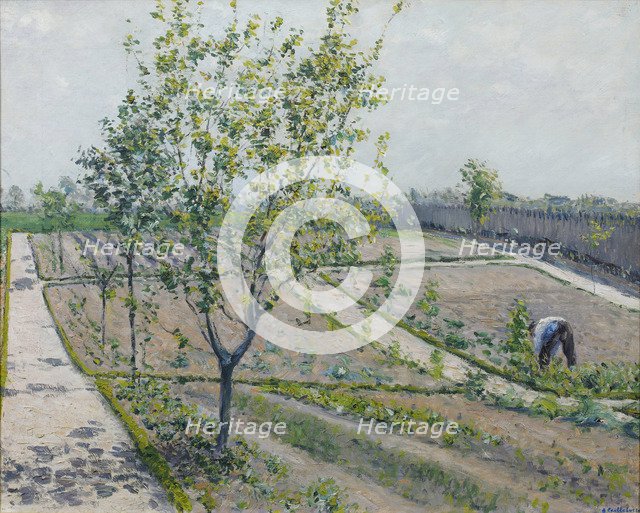 Kitchen Garden, Petit Gennevilliers, 1881-1882.