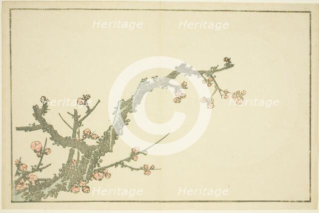 Blooming Plum Tree, from The Picture Book of Realistic Paintings of Hokusai..., Japan, c. 1814. Creator: Hokusai.