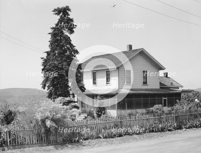 Ranch house of a small Italian farmer, Santa Clara County, California, 1939. Creator: Dorothea Lange.