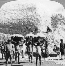 Men carrying baskets of cotton at an Indore cotton mill, India, 1900s. Artist: Unknown
