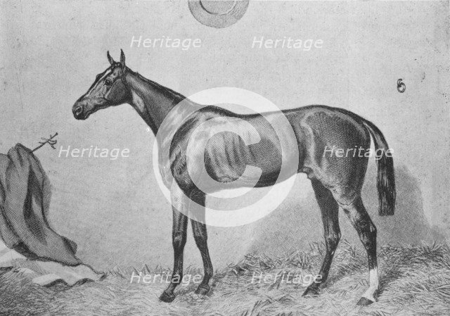 'Thormanby', c1860, (1911). Artist: Unknown.