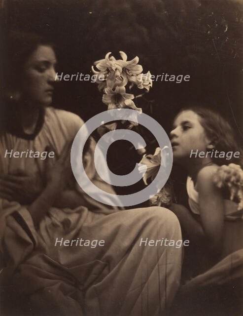 A Study, 1865-66. Creator: Julia Margaret Cameron.