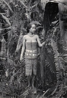 Sarawak: a girl picking leaves for use as fibres, c1900. Creator: Unknown.