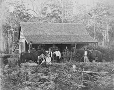Australian wooden slab hut with large unknown family outside, c1900s. Creator: Robert Augustus Henry L'Estrange.