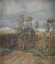 Sunflowers on a Beach, 1893. Creator: Thorvald Niss.