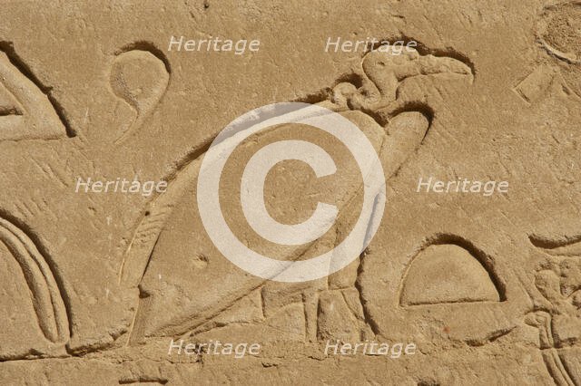 Vulture relief, Temple of Horus, Edfu, Egypt, 3rd century BC (2003). Creator: Unknown.