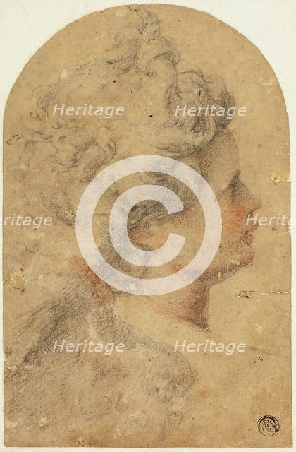 Woman's Profile to Right, n.d. Creator: Camillo Procaccini.