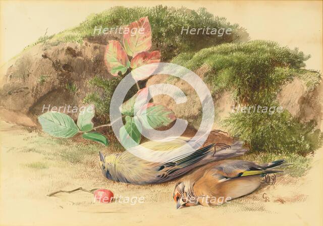 Dead Birds, 1875-1899. Creator: George Reid.