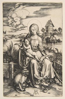 Virgin and Child with the Monkey, ca. 1498. Creator: Albrecht Durer.