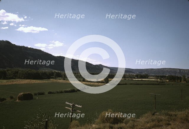 Fields along the Skyline Drive in Virginia, ca. 1940. Creator: Jack Delano.