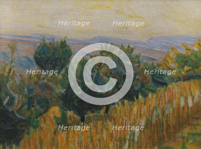 The Vine against the Light. A wheat field in the foreground. Villa Linda, Florence, 1923. Creator: Niels Larsen Stevns.