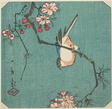 Bullfinch, section of an untitled harimaze print, c. 1840s. Creator: Ando Hiroshige.