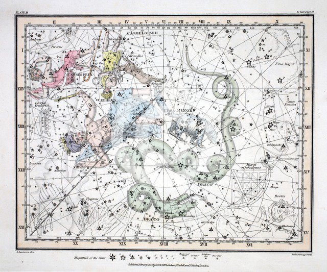 The Constellations (Plate II) Ursa Minor,  Cassiopeia,  Tarandus, Cepheus,  Draco, Custos Messium,  