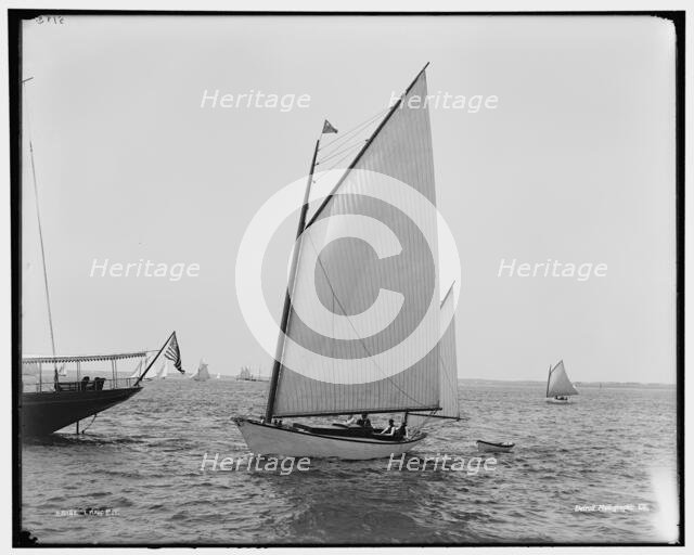 Lance, between 1880 and 1899. Creator: Unknown.