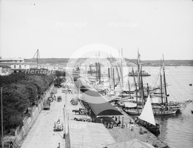 Muelle "Paula", Havana, Cuba, c1904. Creator: Unknown.