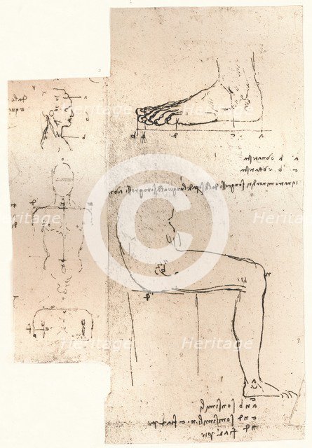 Two drawings illustrating the theory of the proportions of the human figure, c1472-c1519 (1883). Artist: Leonardo da Vinci.