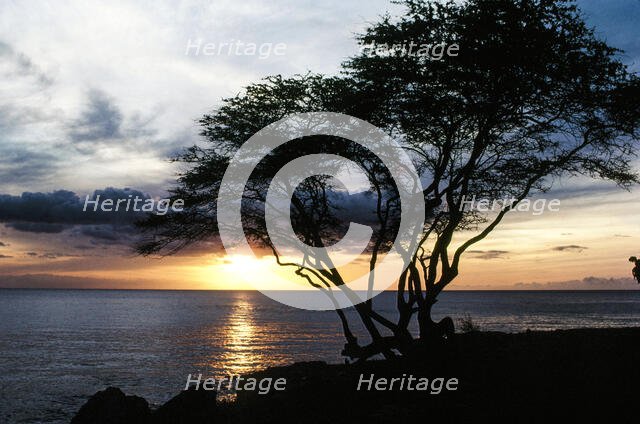 On the Horizon. Creator: Robert Manno.