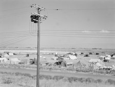 Camp of migrant potato pickers seen from potato shed..., Tulelake, Siskiyou County, California, 1939 Creator: Dorothea Lange.
