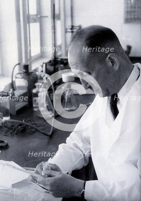 Haim Ernst Wertheimer. Creator: Unknown.