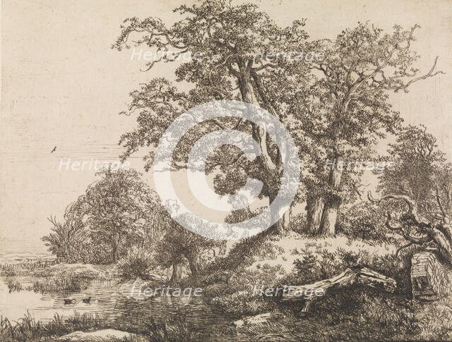 The Three Oaks, mid-17th century. Creator: Jacob van Ruisdael.