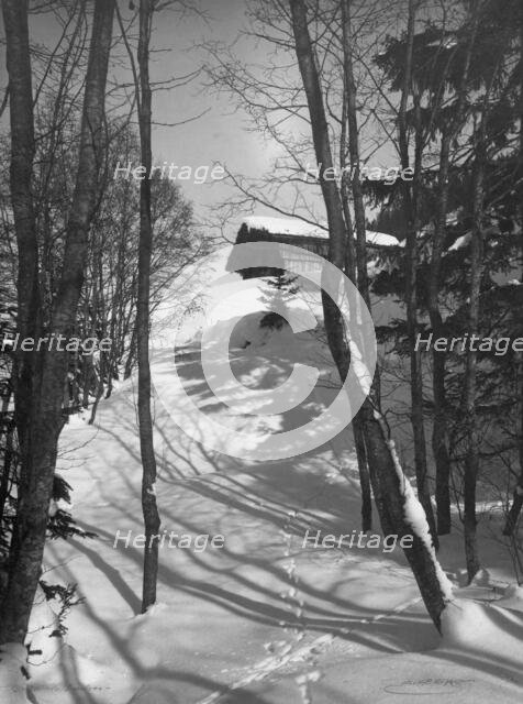 Animal tracks in the snow, 1916. Creator: Unknown.