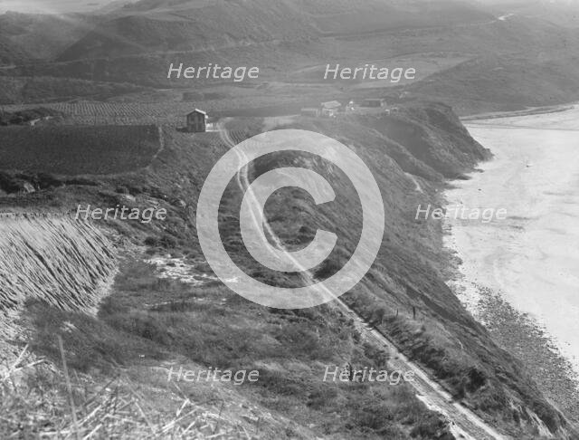 Artichoke farms reach to the water's edge, near Half Moon Bay, California coast , 1938. Creator: Dorothea Lange.