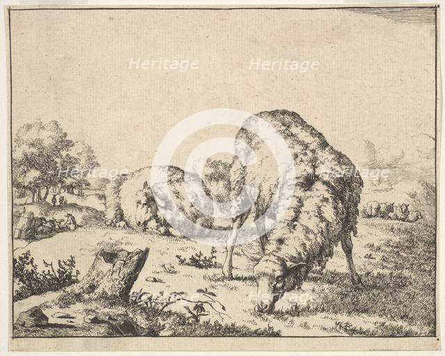 Sheep, from a set of 16 plates, 1664. Creator: Marcus de Bye.