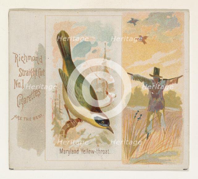 Maryland Yellow-throat, from the Song Birds of the World series (N42) for Allen & Ginter C..., 1890. Creator: Allen & Ginter.