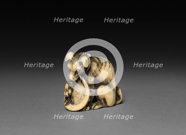 Dog with Shell, 18th century. Creator: Unknown.