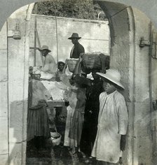 'Cocoa Fresh from the Pods, Dominica, B.W.I.', 1893.  Creator: Keystone View Company.