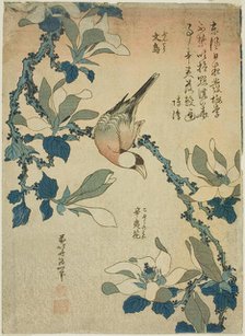 Paddy Bird and Magnolia Flowers (Buncho, kobushi no hana), from an untitled series..., c. 1834. Creator: Hokusai.
