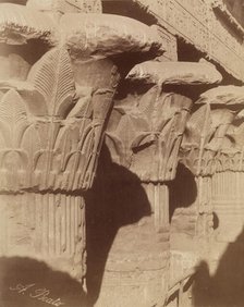 Capitals of the Temple of Esna, between 1860 and 1903. Creator: Antonio Beato.