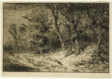 Road at the Edge of a Wood, 1846. Creator: Charles Emile Jacque.