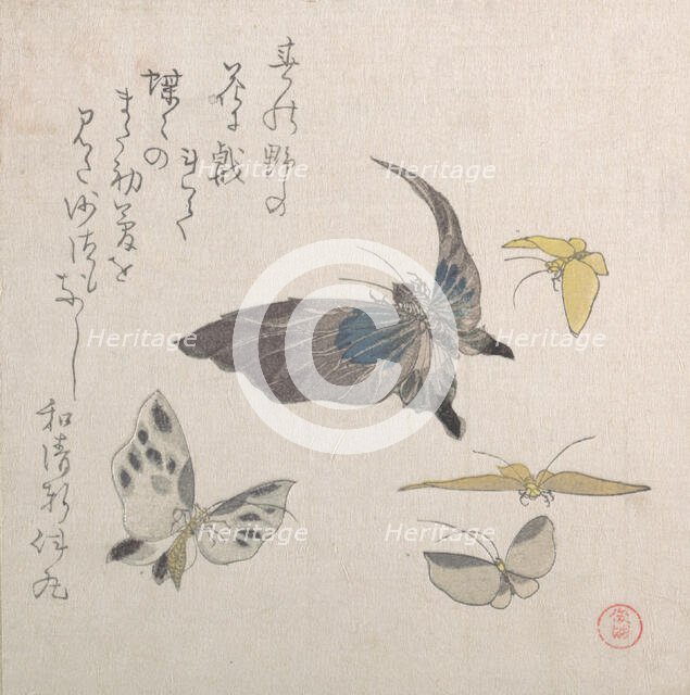 Butterflies, 19th century. Creator: Kubo Shunman.