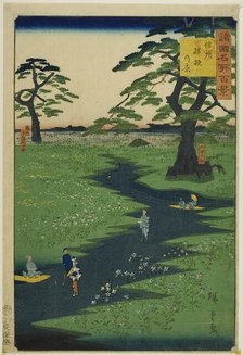 Kikyo Plain, Shinshu Province (Shinshu Kikyogahara) from the series "One Hundred Famous Vi..., 1860. Creator: Utagawa Hiroshige II.