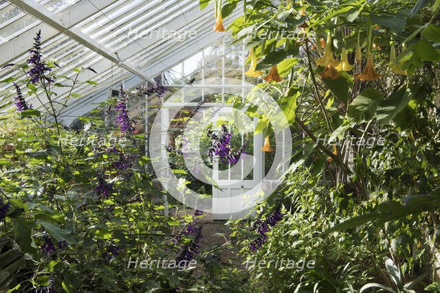 Glasshouse, Denmans Garden, Fontwell, West Sussex, 2018. Creator: James O Davies.
