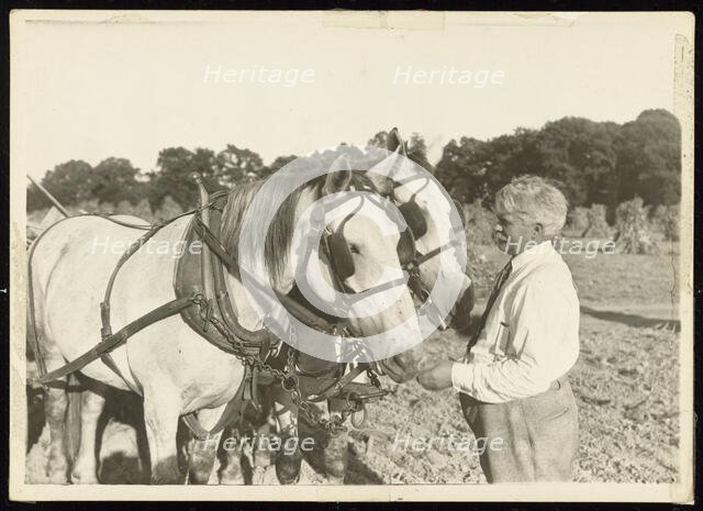 Untitled, ca. 1935. Creator: Lewis Wickes Hine.