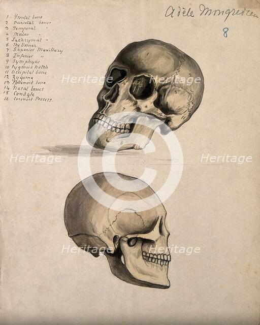A skull: two figures, 1880. Creator: Adele Mongredien.