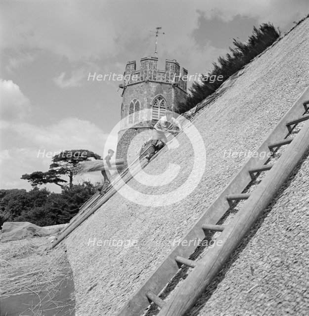 Thatchers at work on the roof of St Peter's Church, Theberton, Suffolk, 1956 Artist: John Gay