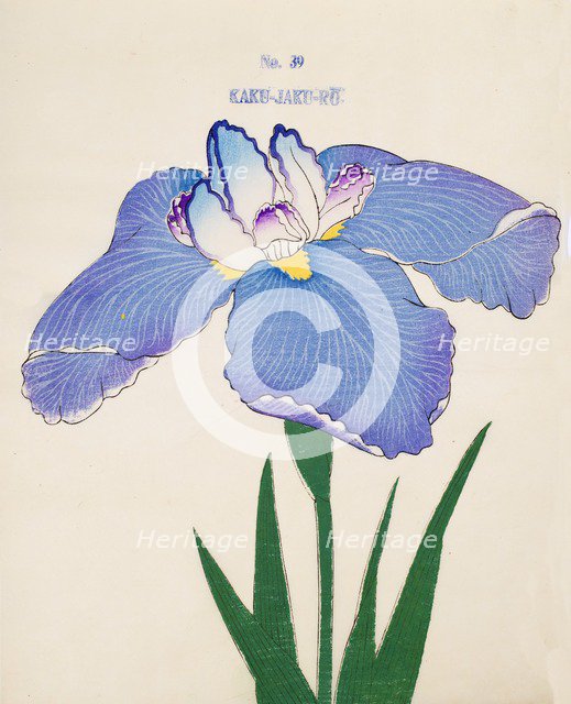 Kaku-Jaku-Ro, No. 39, 1890, (colour woodblock print)