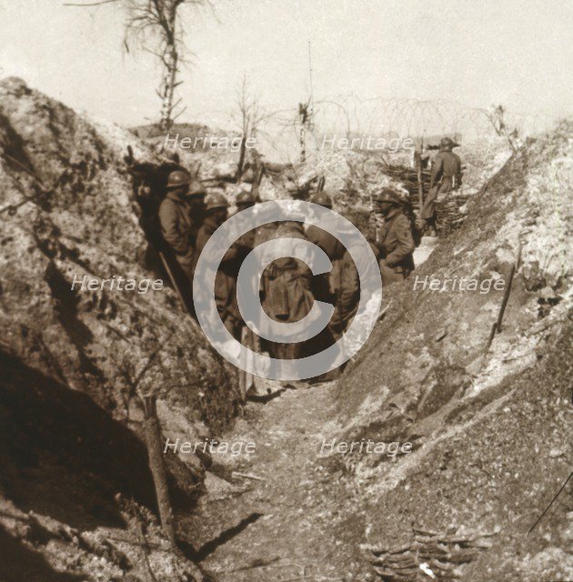 Bois de la Grille before attack, northern France, c1914-c1918. Artist: Unknown.