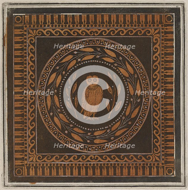 Colour plate of an owl, from a cotyle, 1766 [-1767].  Creator: Unknown.